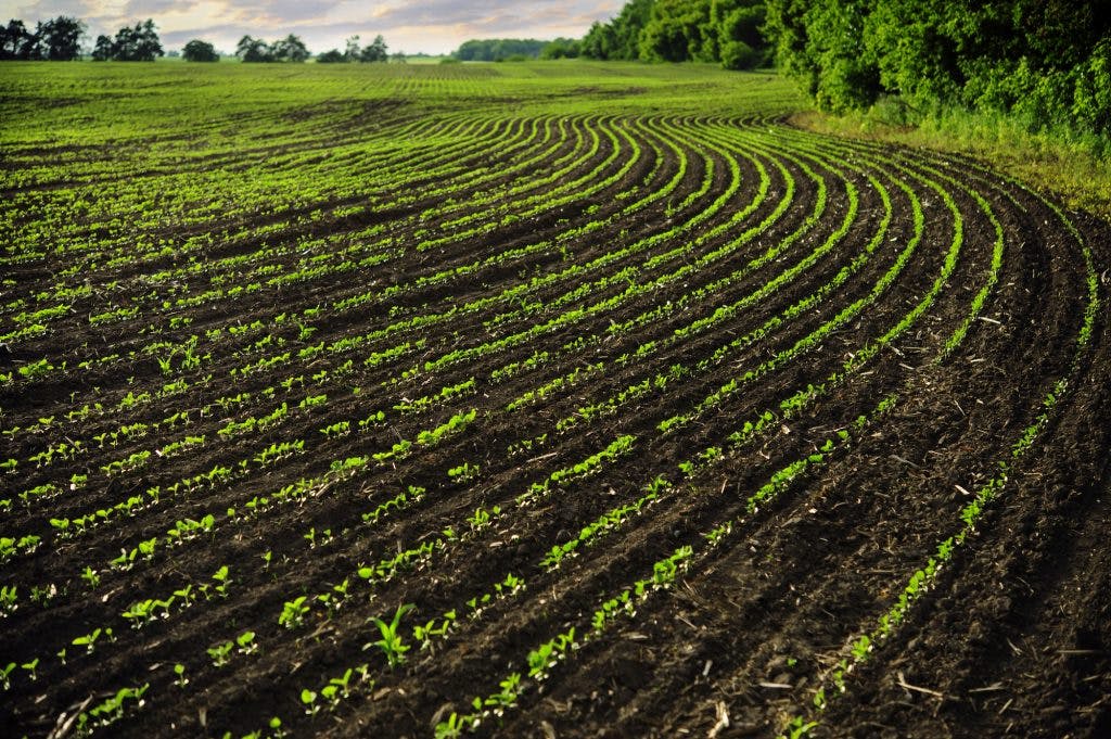 Präzision in der Landwirtschaft – warum ist sie wichtig?