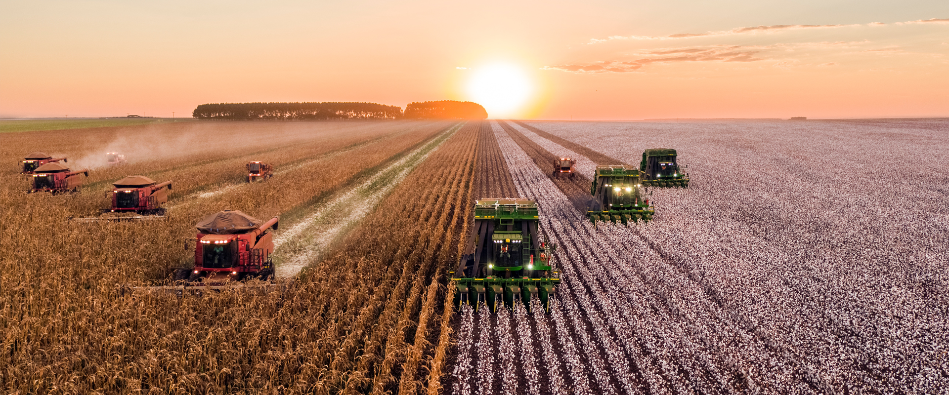 Neueste technologien in der landwirtschaft, von denen Sie wahrscheinlich noch nichts wussten