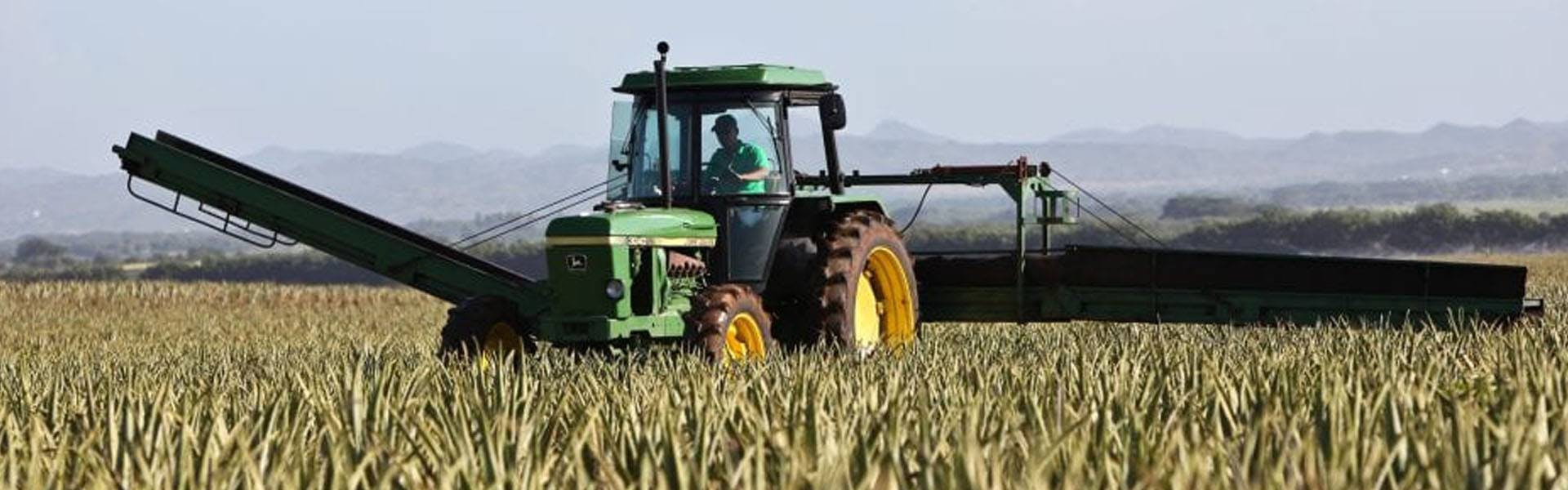How Farmers Lose Profits in 2020: 5 Steps You Need to Follow to Save Your Money