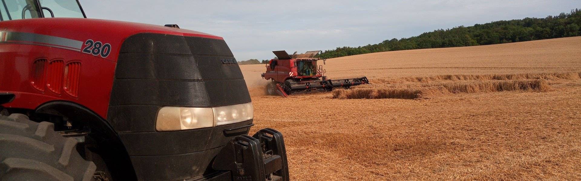 FieldBee in the Fields: The story of a Czech farmer – “Just go for it!”