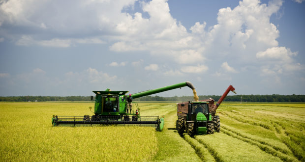 farming